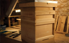 Beehive