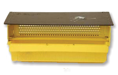 Pollen_Trap